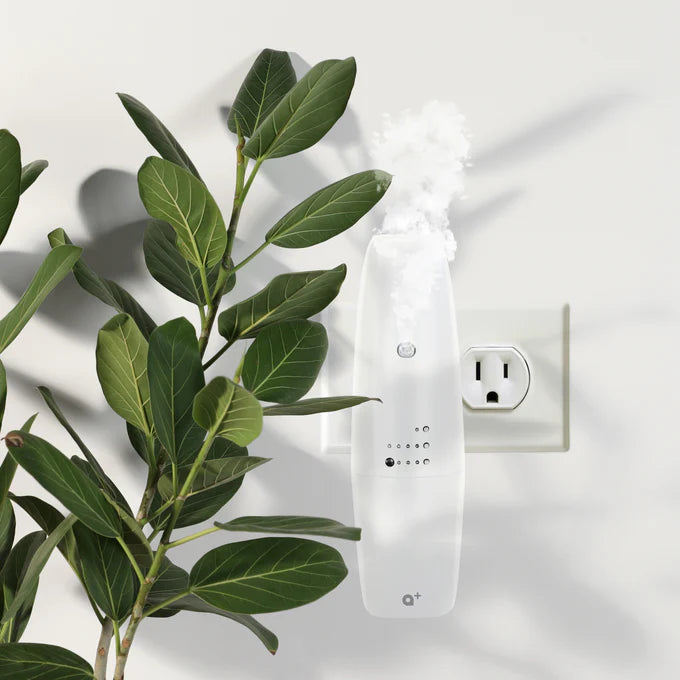 Plug in Aromar Cylinder Waterless Diffuser