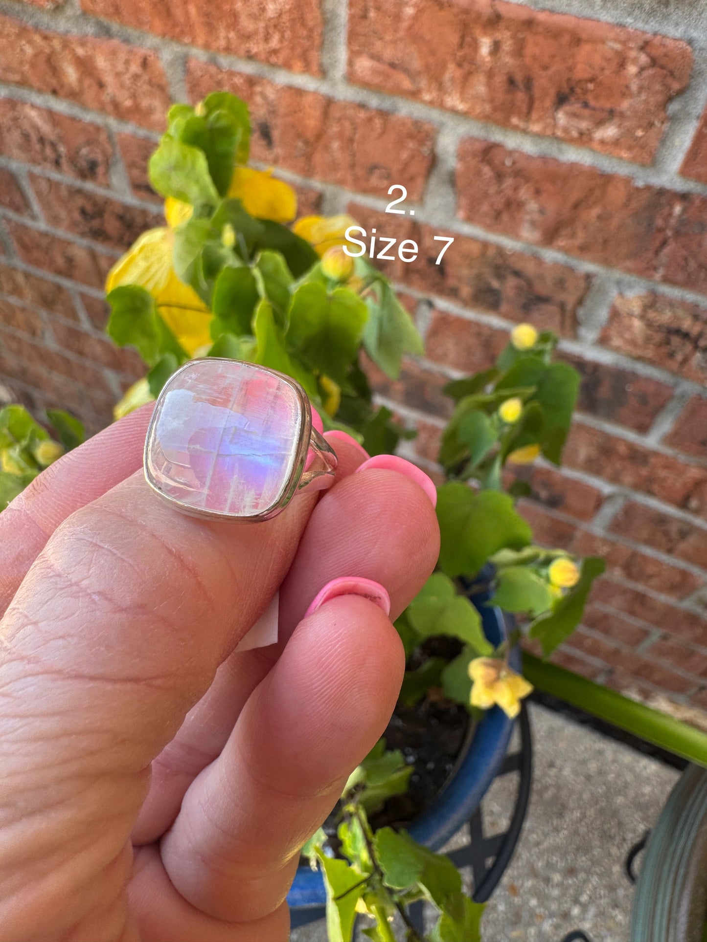Moonstone sized rings