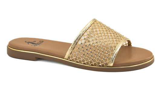 Corky's Market Special - Just Meshen With You