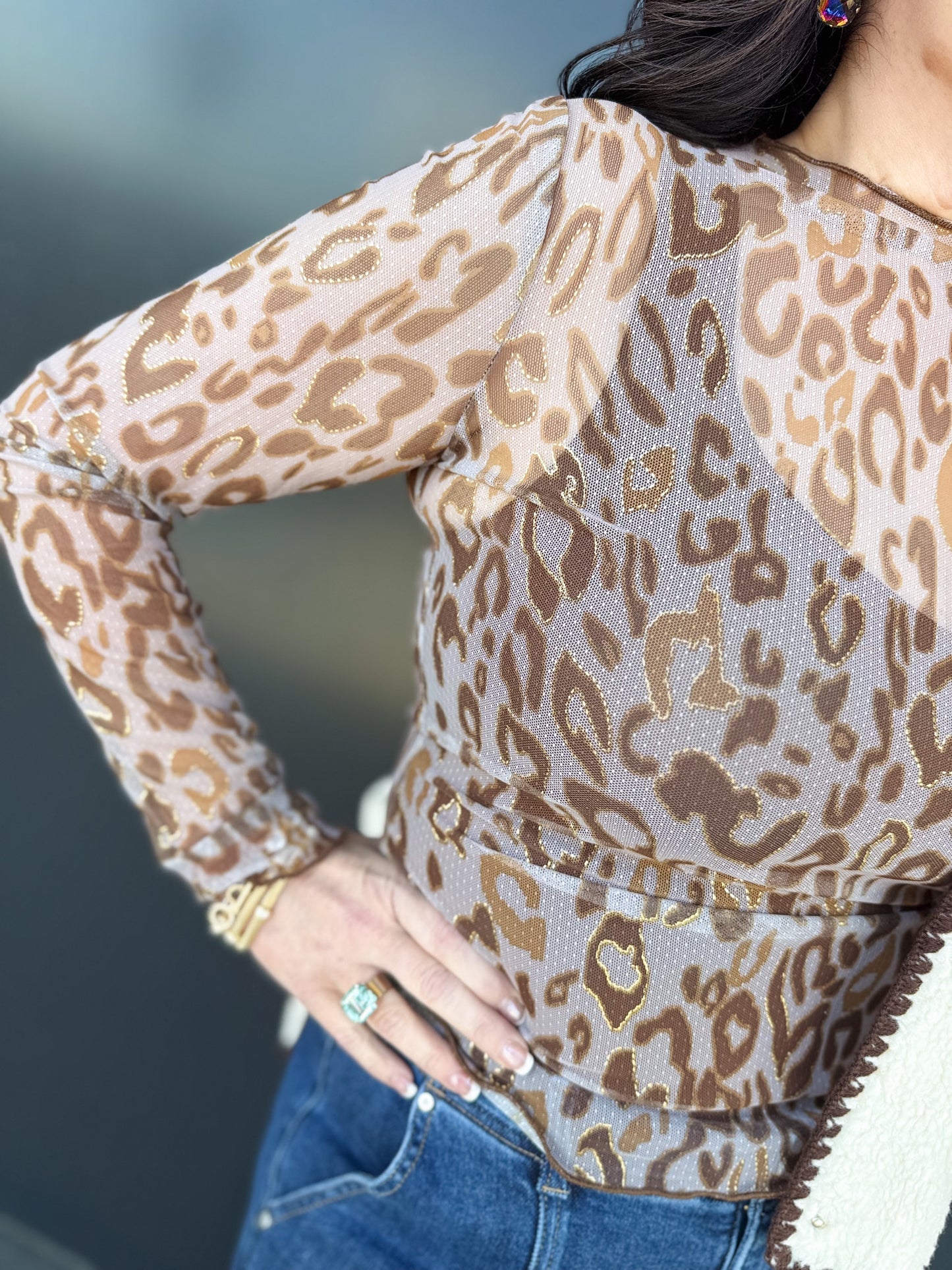 ✨ Wild Whisper Mesh Long Sleeve Top