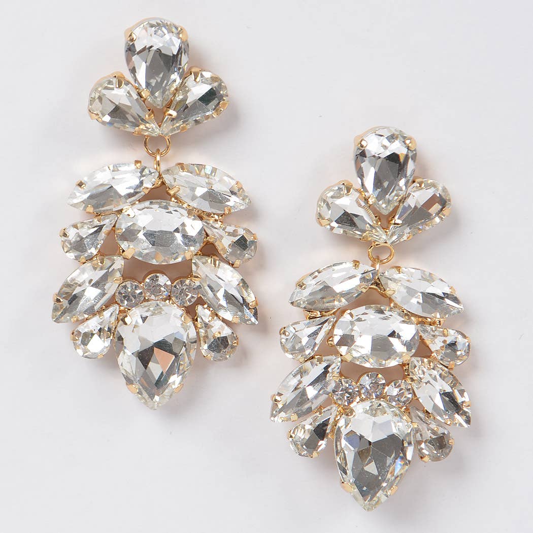 Multi Stone Party Earring