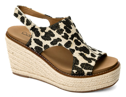 Corky's special Leopard Freddie
