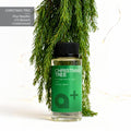 Aromar Fragrance Oil- Christmas Tree*