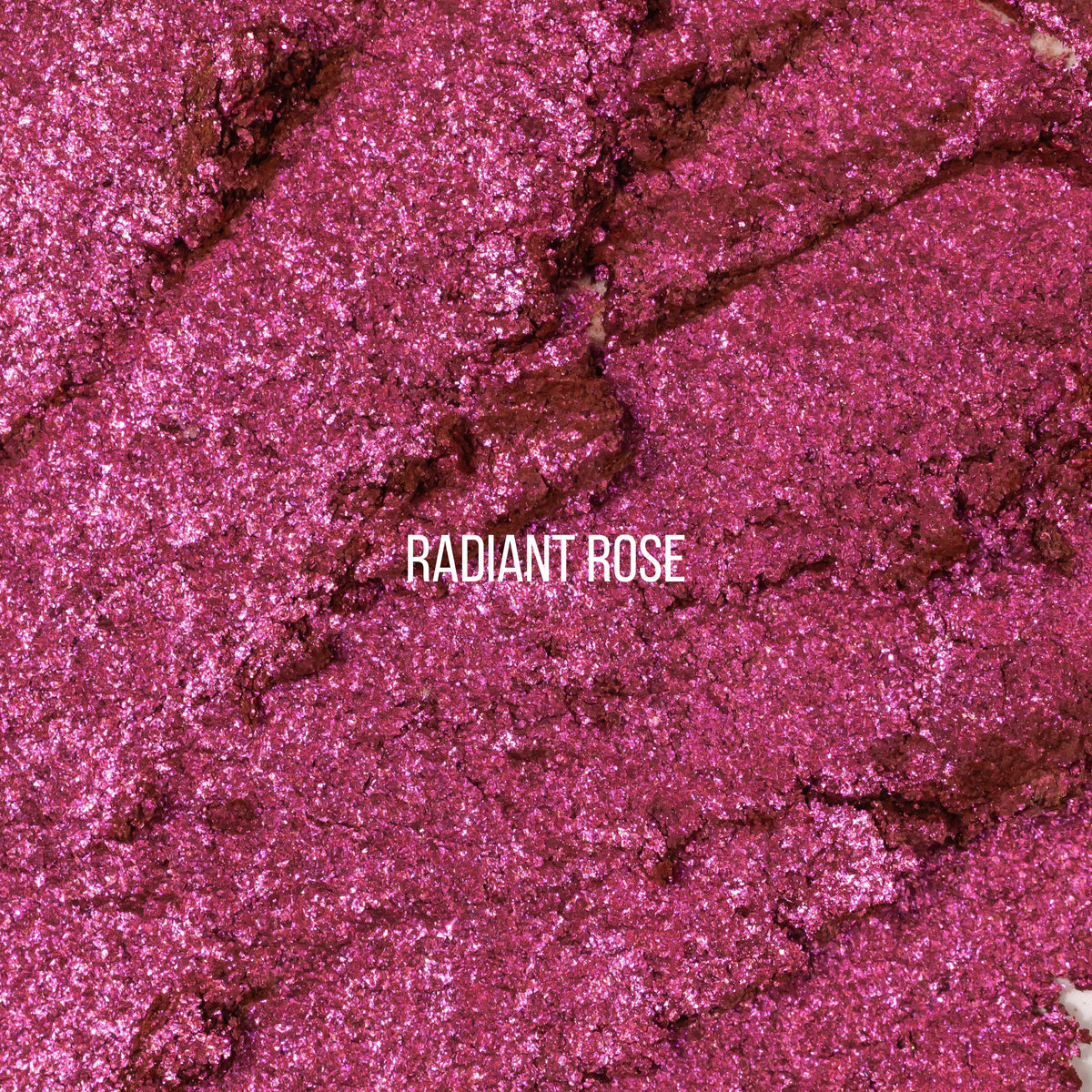 Bounce Highlight - #18 - Radiant Rose