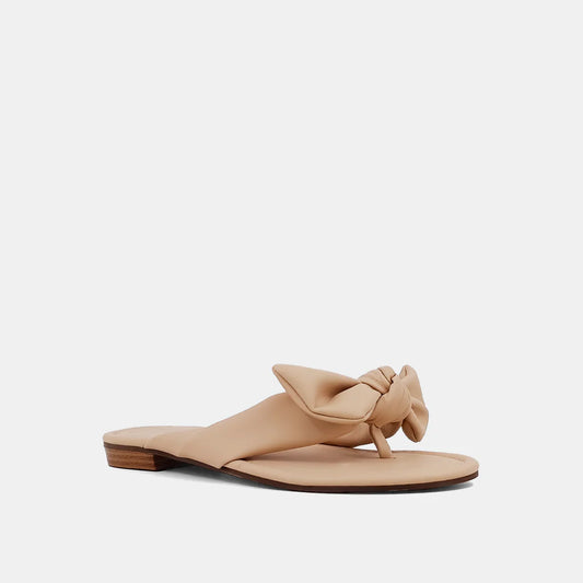 Shu Shop Dharma