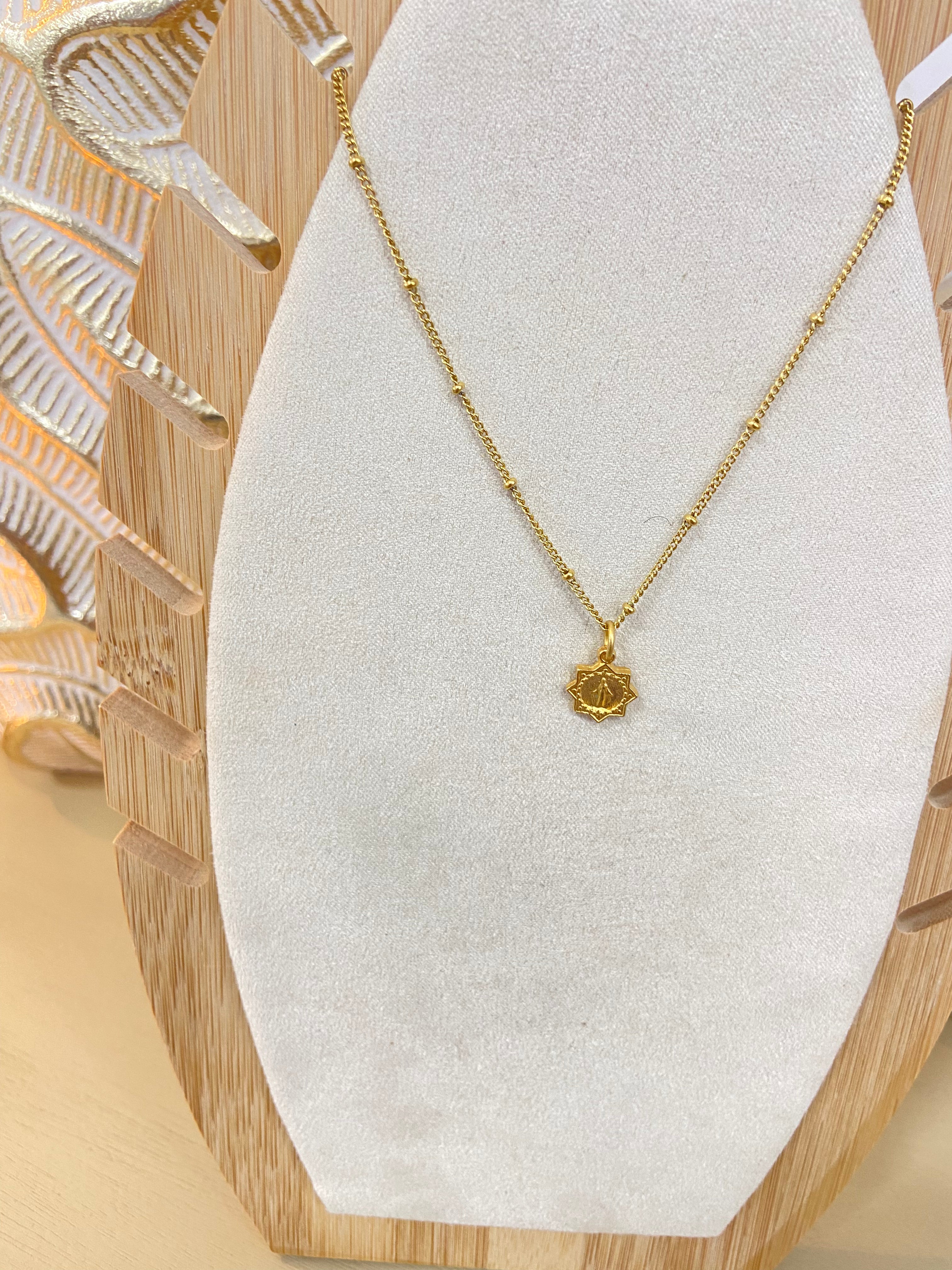 WD Small Mary Medal Necklace