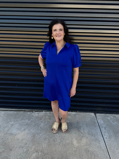 Collared Autumn Whisper Dress