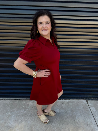 Collared Autumn Whisper Dress