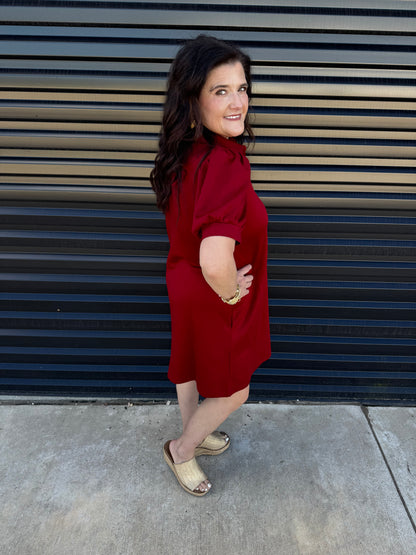 Collared Autumn Whisper Dress