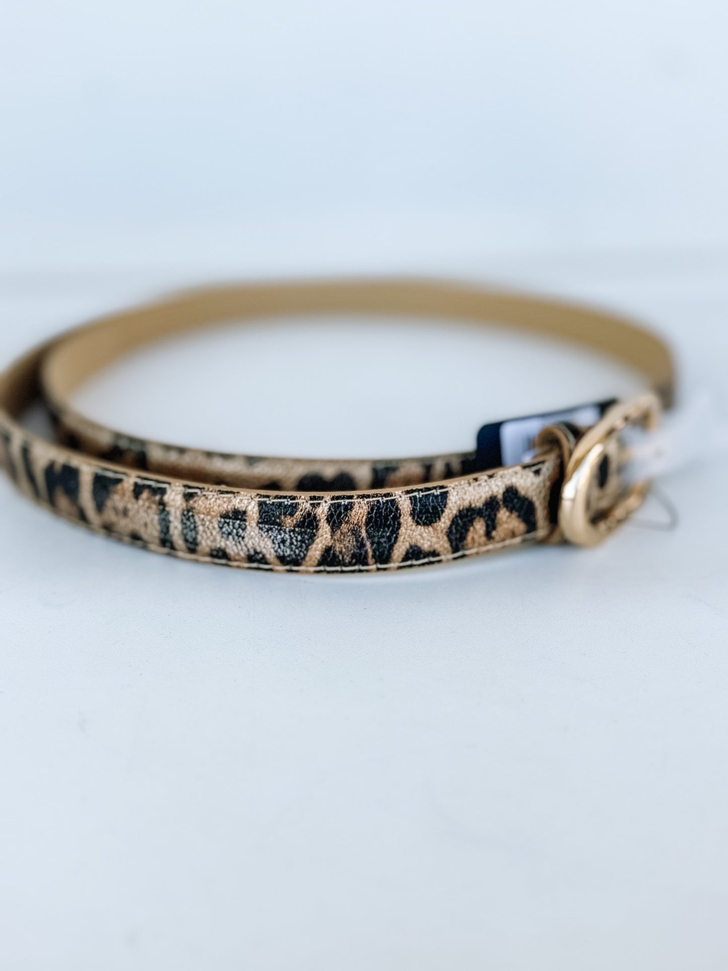 Thin Accent Belt
