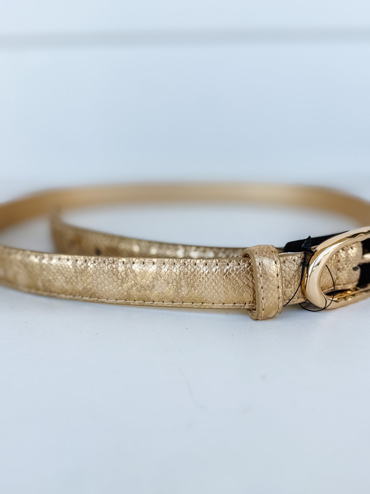Thin Accent Belt