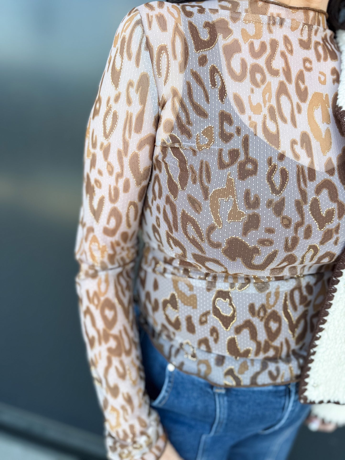 ✨ Wild Whisper Mesh Long Sleeve Top