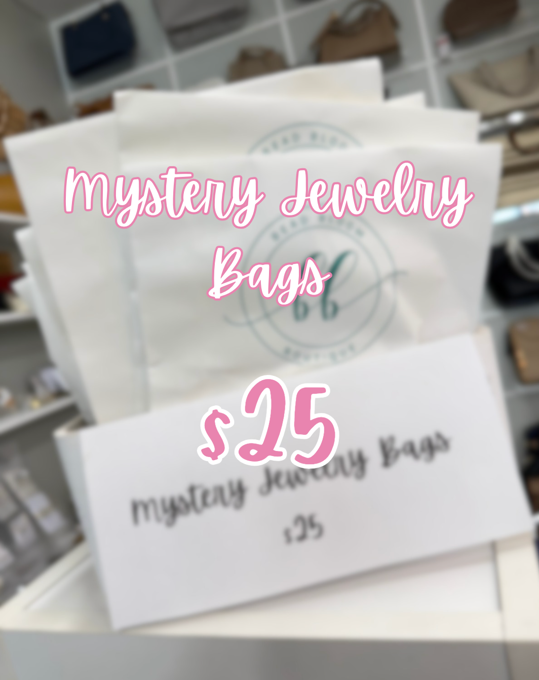 $25 MYSTERY BAG